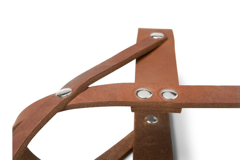 Butter Leather Dog Harness - Sahara Cognac by Molly And Stitch US