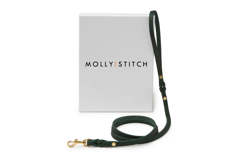 Butter Leather City Dog Leash - Forest Green by Molly And Stitch US