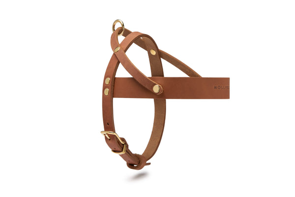 Butter Leather Dog Harness - Sahara Cognac by Molly And Stitch US