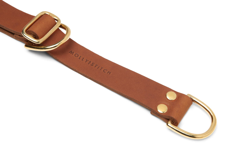 Butter Leather Retriever Dog Collar - Sahara Cognac by Molly And Stitch US