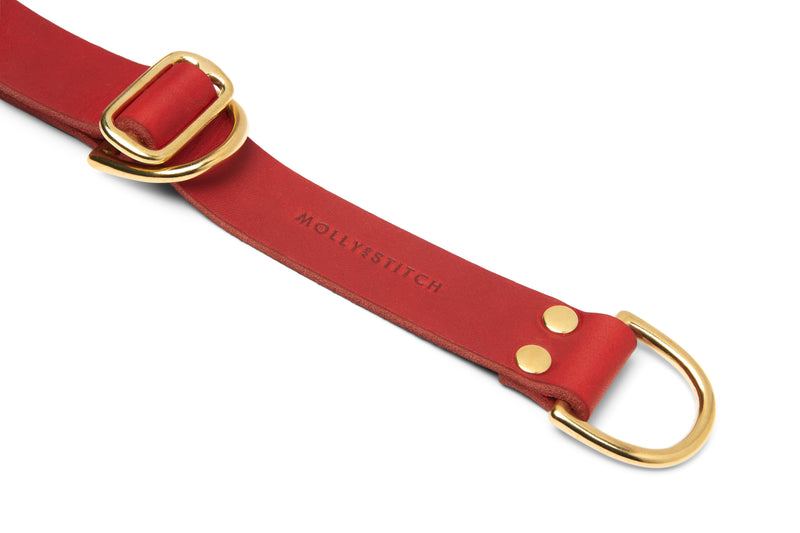 Butter Leather Retriever Dog Collar - Chili Red by Molly And Stitch US