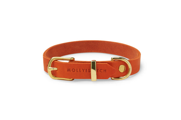 Butter Leather Dog Collar - Mango by Molly And Stitch US