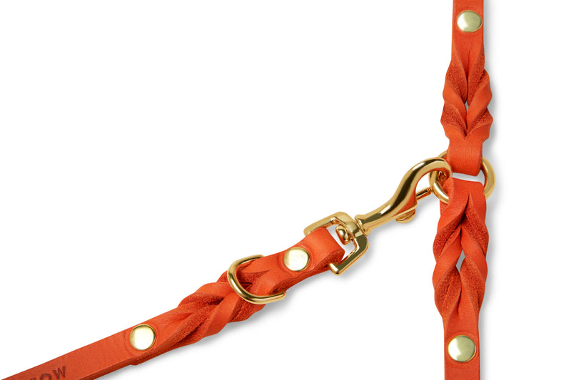 Butter Leather 3x Adjustable Dog Leash - Mango by Molly And Stitch US