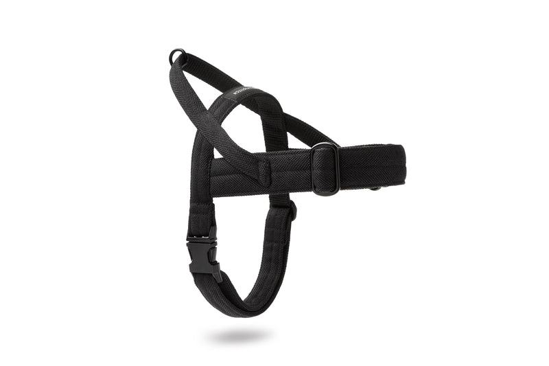 Soft Rock Harness - Black by Molly And Stitch US
