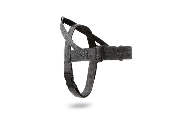 Soft Rock Harness - Grey by Molly And Stitch US
