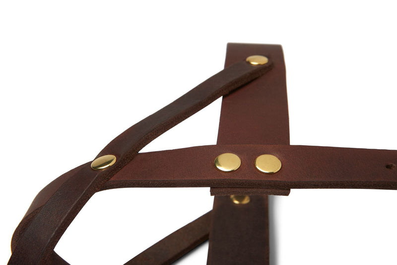 Butter Leather Dog Harness - Classic Brown by Molly And Stitch US