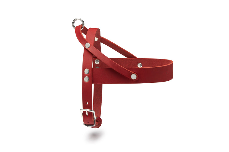Butter Leather Dog Harness - Chili Red by Molly And Stitch US