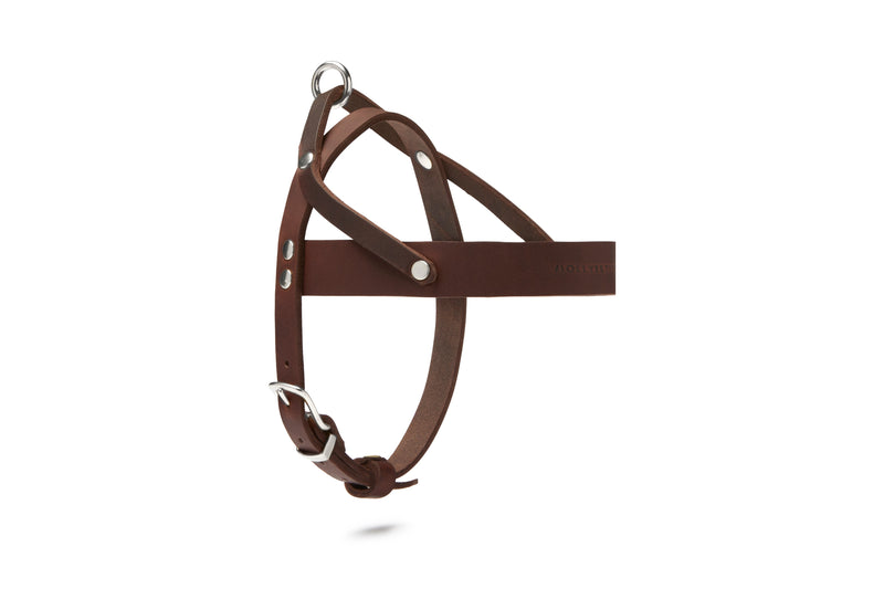 Butter Leather Dog Harness - Classic Brown by Molly And Stitch US