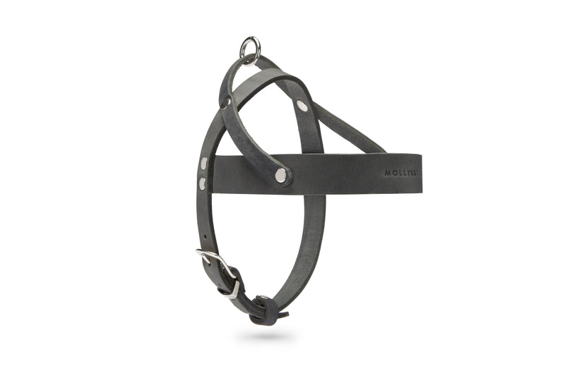Butter Leather Dog Harness - Timeless Grey by Molly And Stitch US