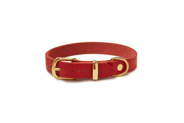 Butter Leather Dog Collar - Chili Red by Molly And Stitch US
