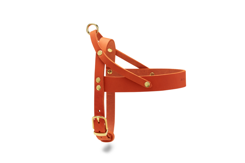 Butter Leather Dog Harness - Mango by Molly And Stitch US