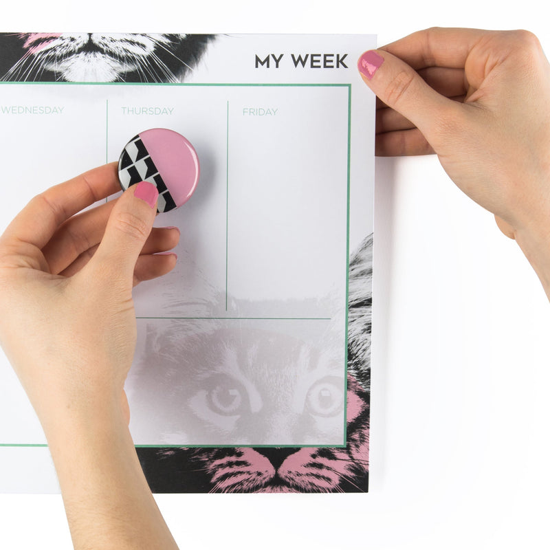 Cat Weekly Planner | Undated 52 Page Desk Organizer with 2 Magnets by The Bullish Store