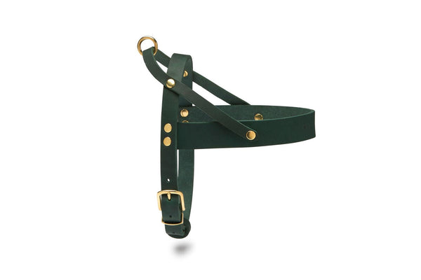 Butter Leather Dog Harness - Forest Green by Molly And Stitch US