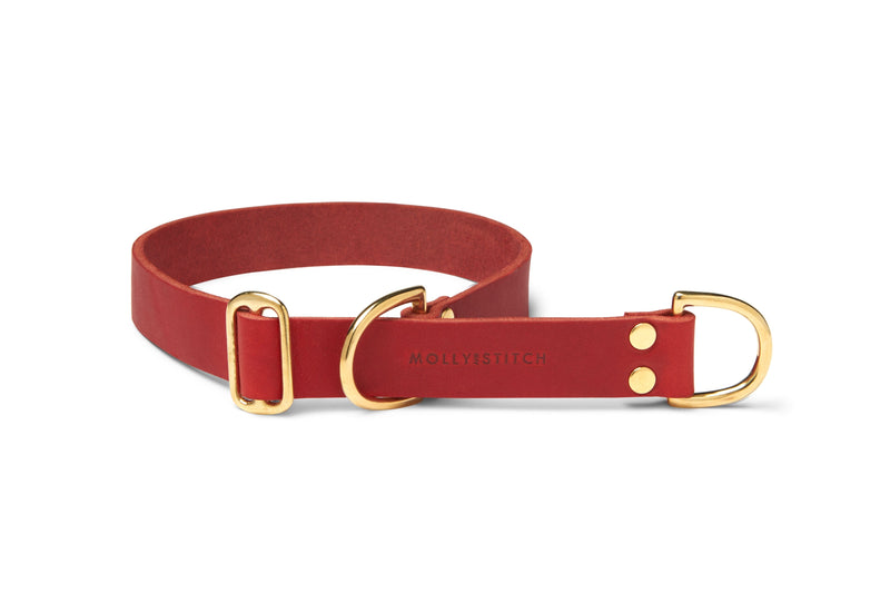 Butter Leather Retriever Dog Collar - Chili Red by Molly And Stitch US