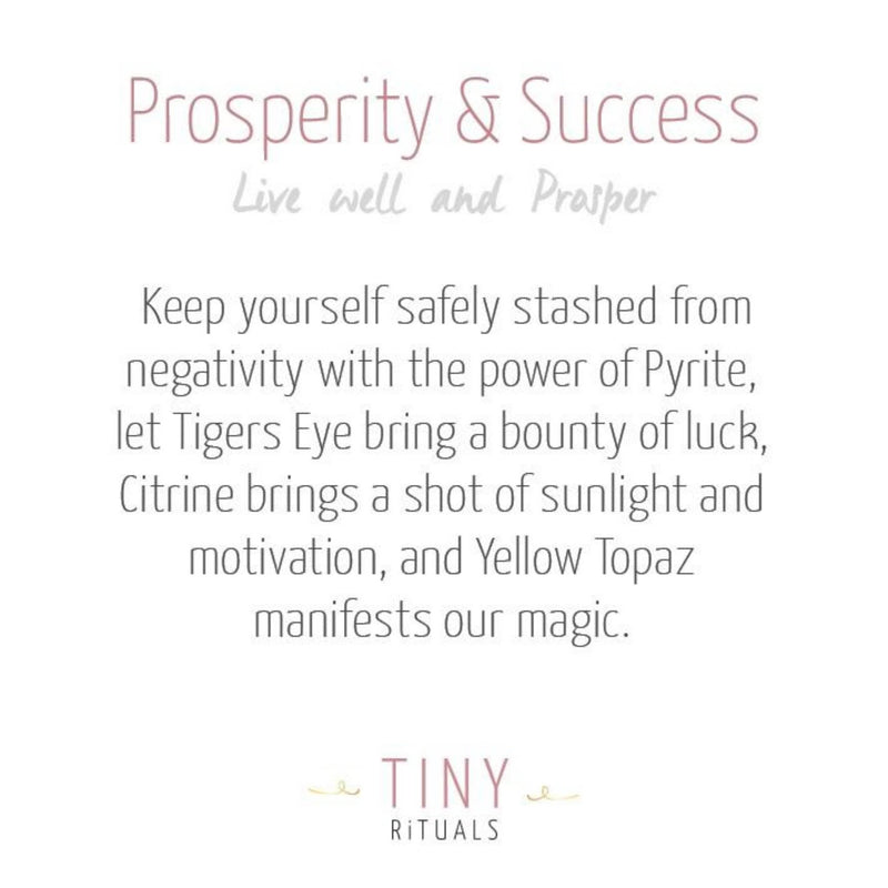 Prosperity & Success Pack by Tiny Rituals