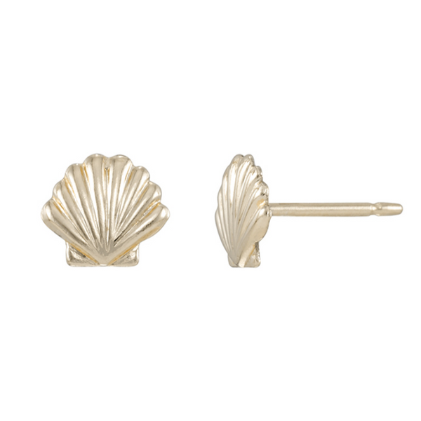 Seashell Studs by Urth and Sea
