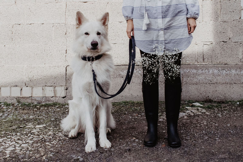 Butter Leather 3x Adjustable Dog Leash - Navy Blue by Molly And Stitch US