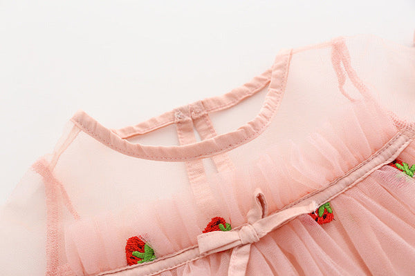 Baby Girl Strawberries Embroidered Mesh Overlay Design Bow Tie Patched Hundred Dress by MyKids-USA™