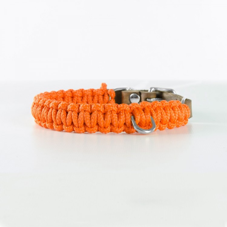Touch of Leather Dog Collar - Pumpkin by Molly And Stitch US