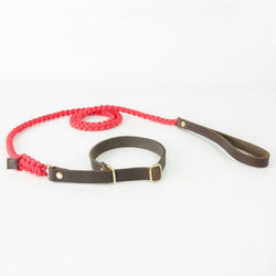 Touch of Leather Retriever Dog Leash - Lipstick by Molly And Stitch US