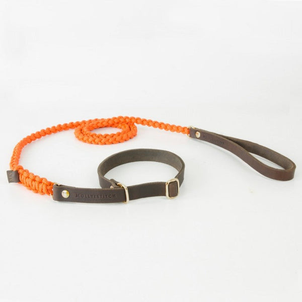Touch of Leather Retriever Dog Leash - Pumpkin by Molly And Stitch US